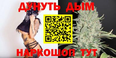 индика Моздок