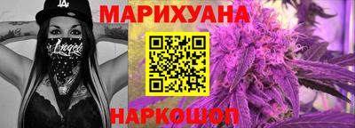 индика Моздок