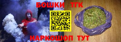 индика Моздок