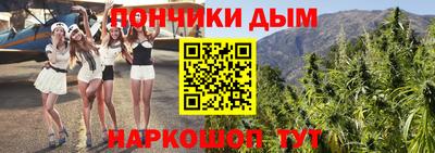индика Моздок