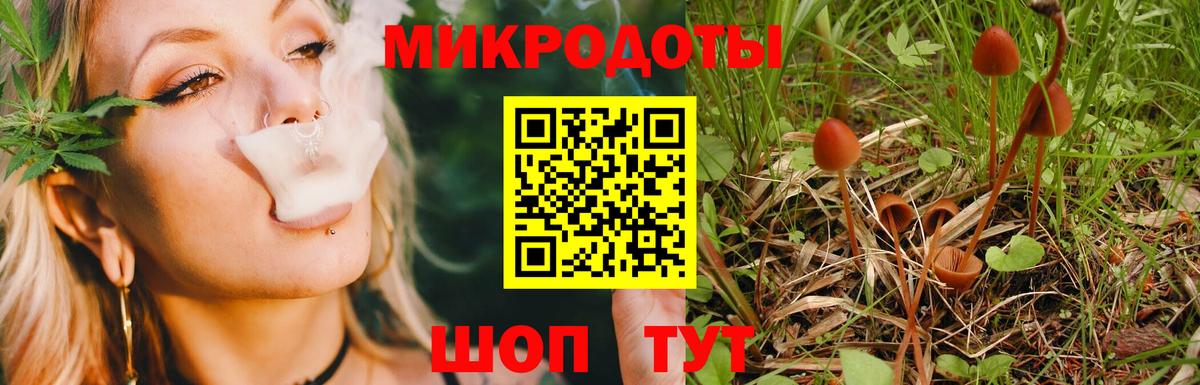 Галлюциногенные грибы Psilocybine cubensis  Вход с VPN  Каменка 
