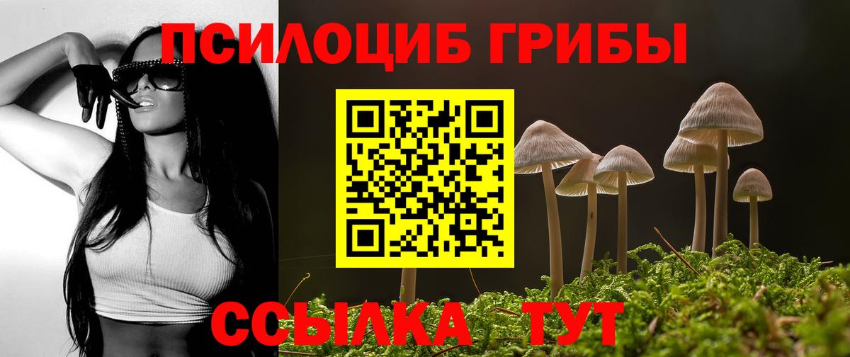Галлюциногенные грибы Psilocybine cubensis Каменка